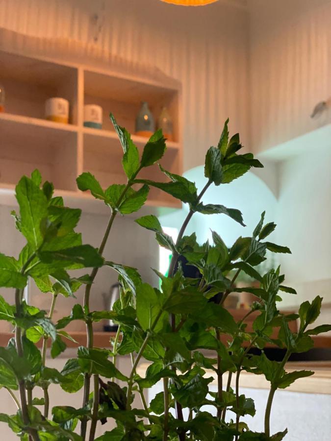 A Casa Del Console Apartment مانفريدونيا المظهر الخارجي الصورة