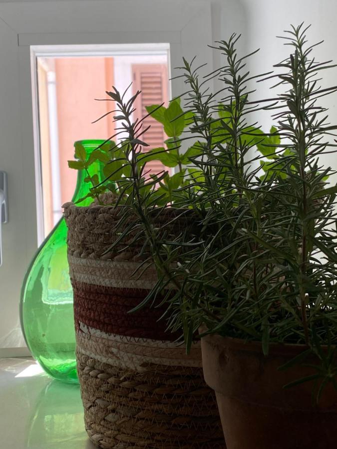 A Casa Del Console Apartment مانفريدونيا المظهر الخارجي الصورة
